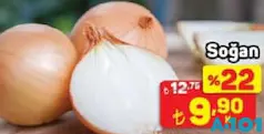 SOĞAN KG fiyat ve kampanya bilgisi